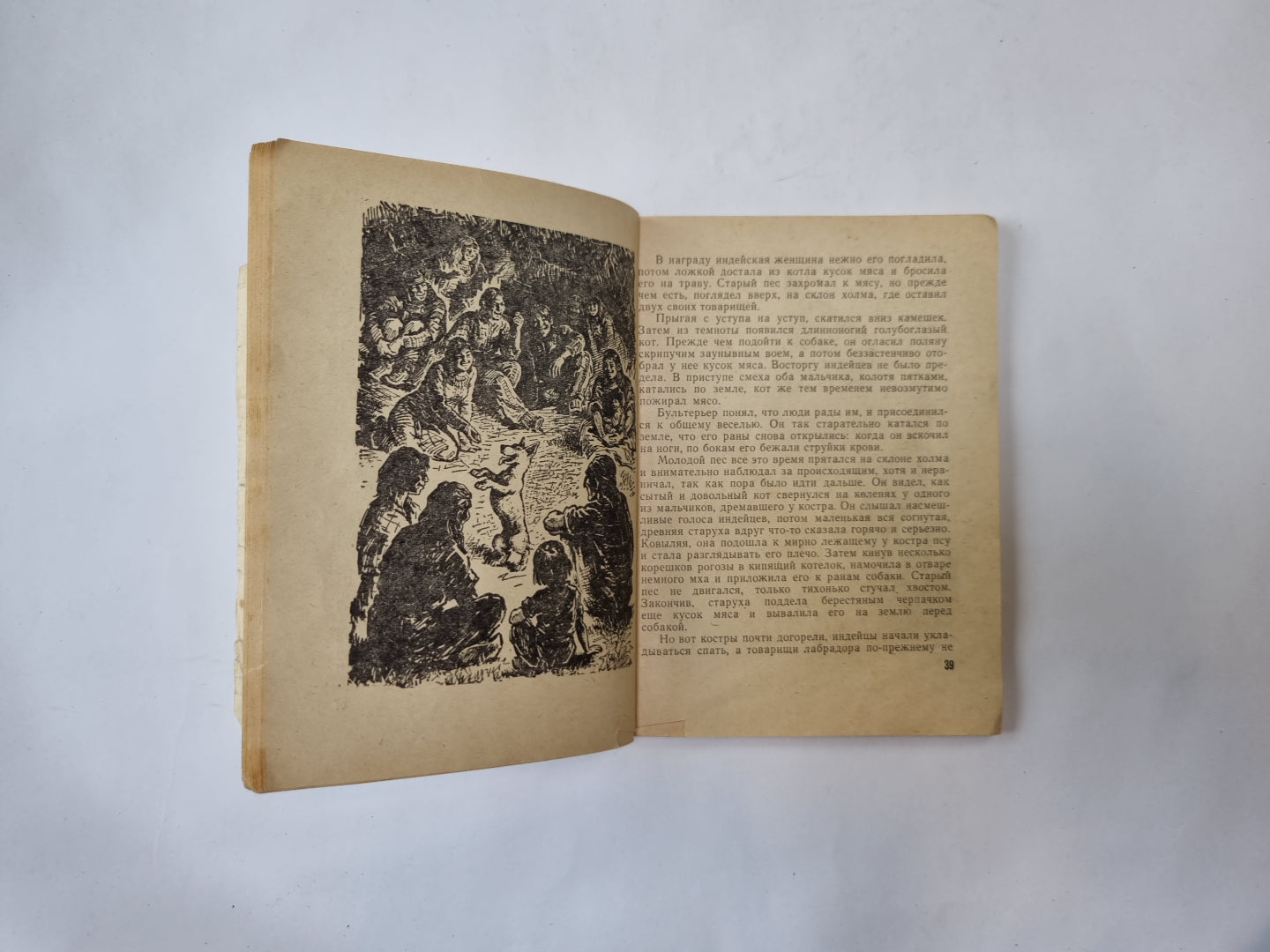 Невероятное путешествие