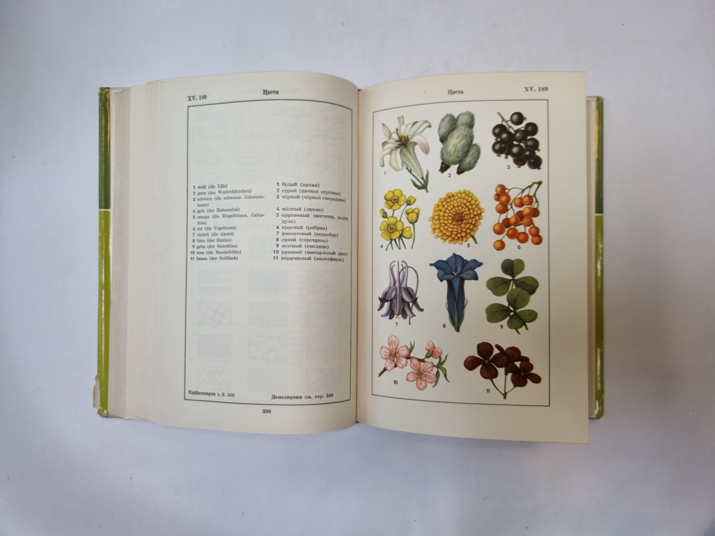 Иллюстрированный словарь на немецком и английском языках