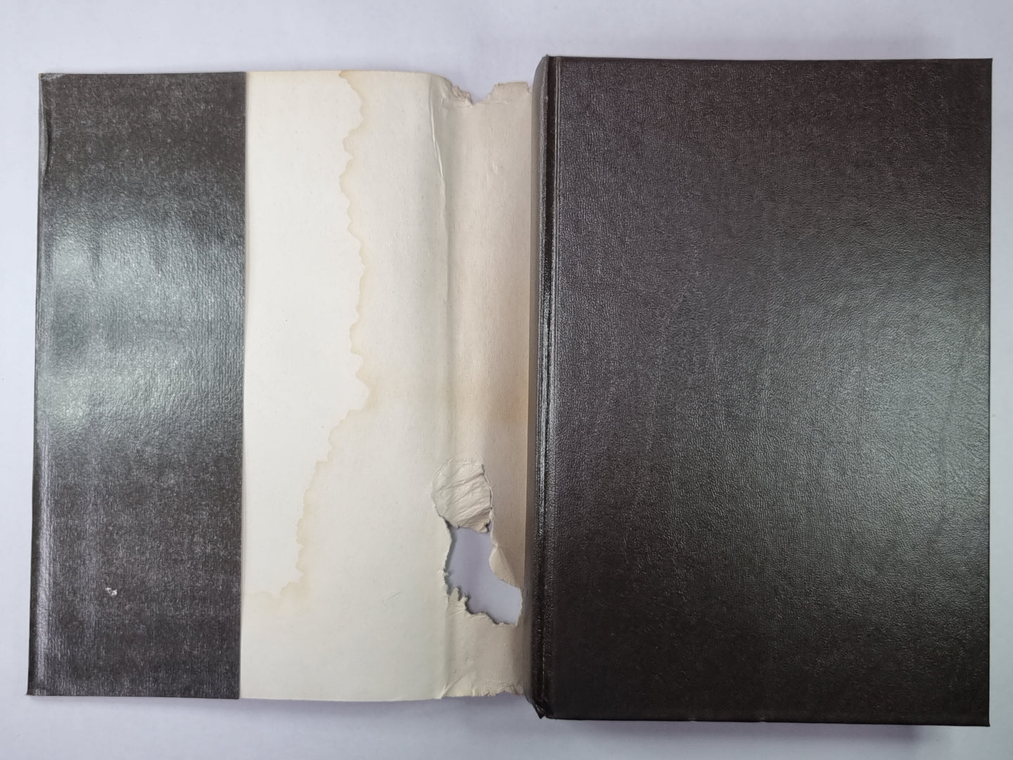 Оно. Книга 1