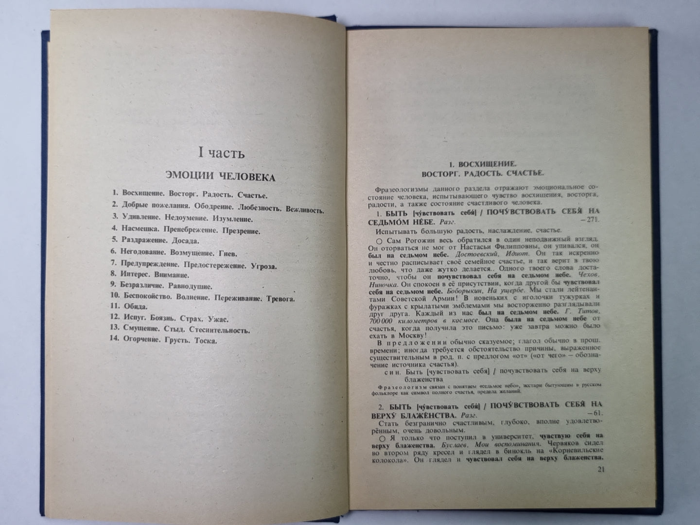 Словарь - справочник по русской фразеологии