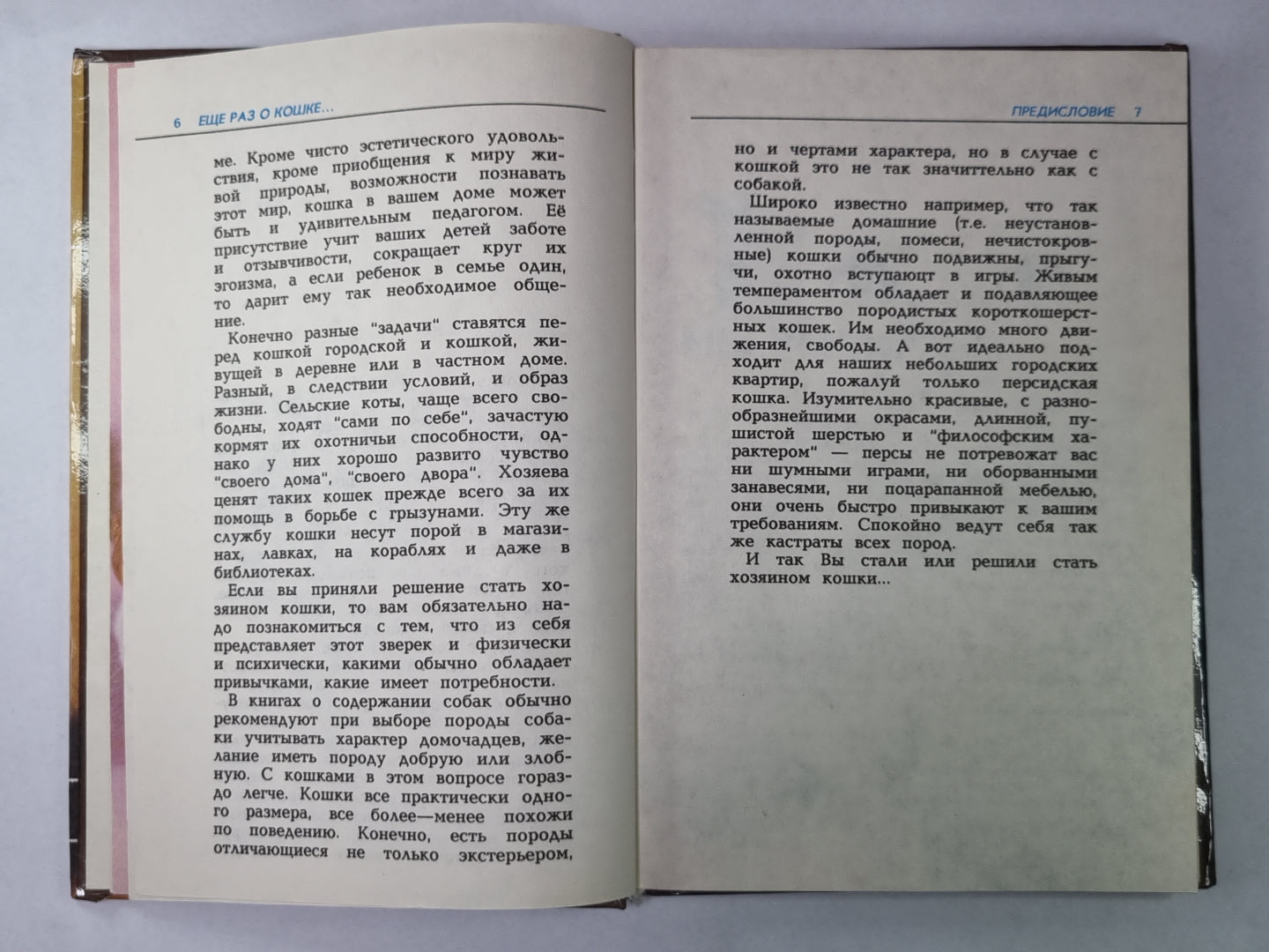 Ещё раз о кошке...