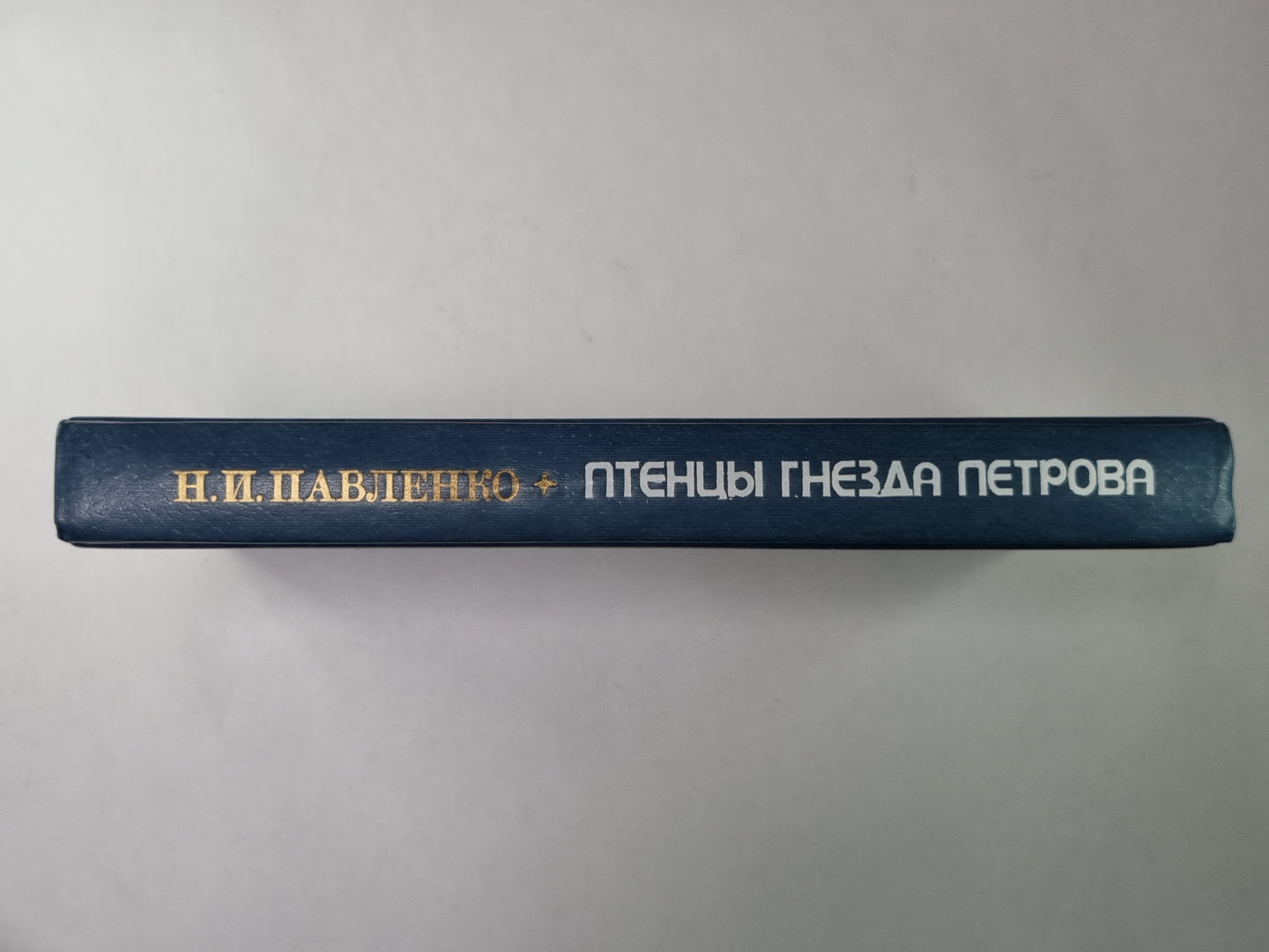 Птенцы гнезда Петрова