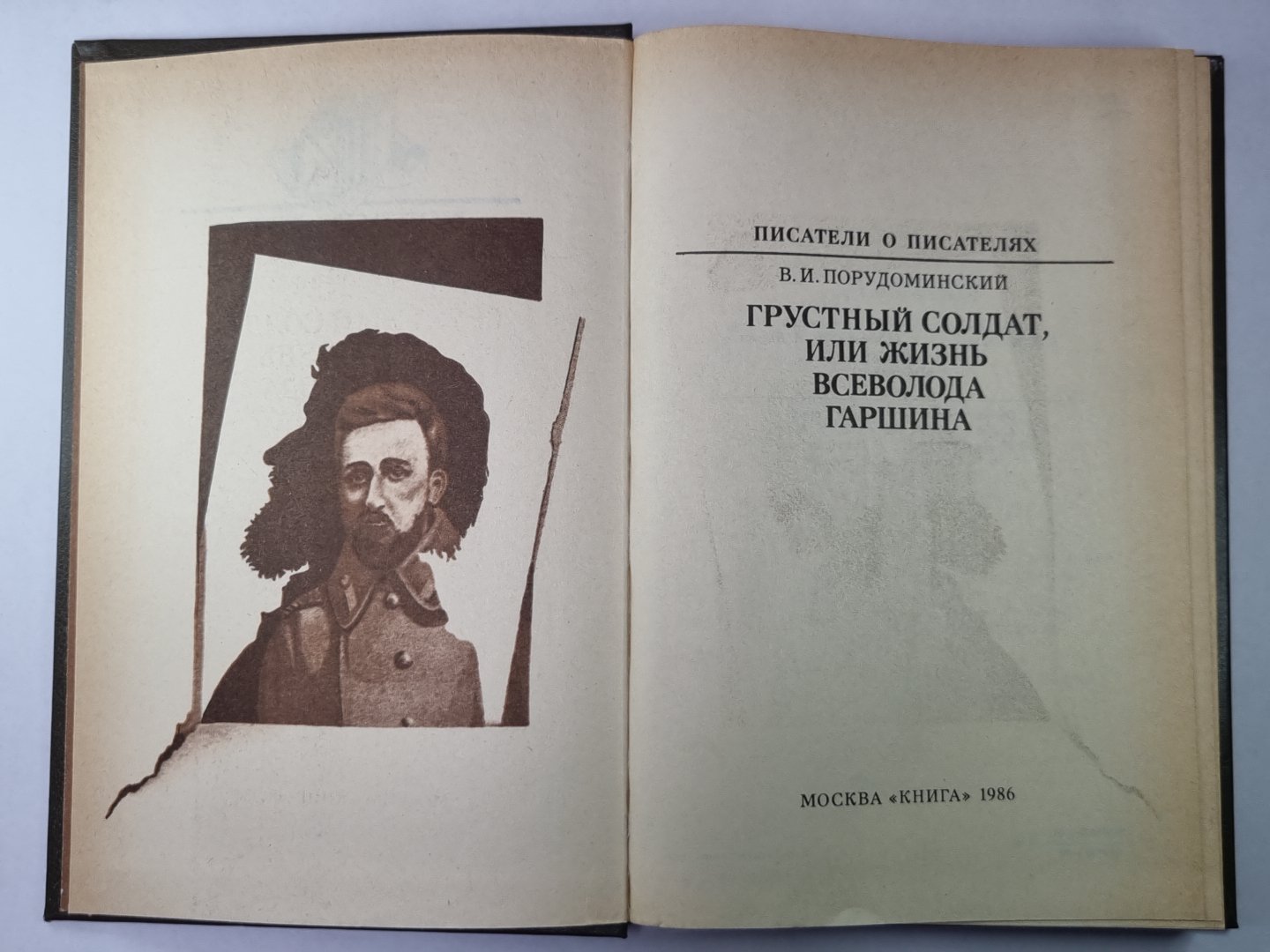 Грустный солдат, или Жизнь Всеволода Гаршина. Сер.(Писатели о писателях)
