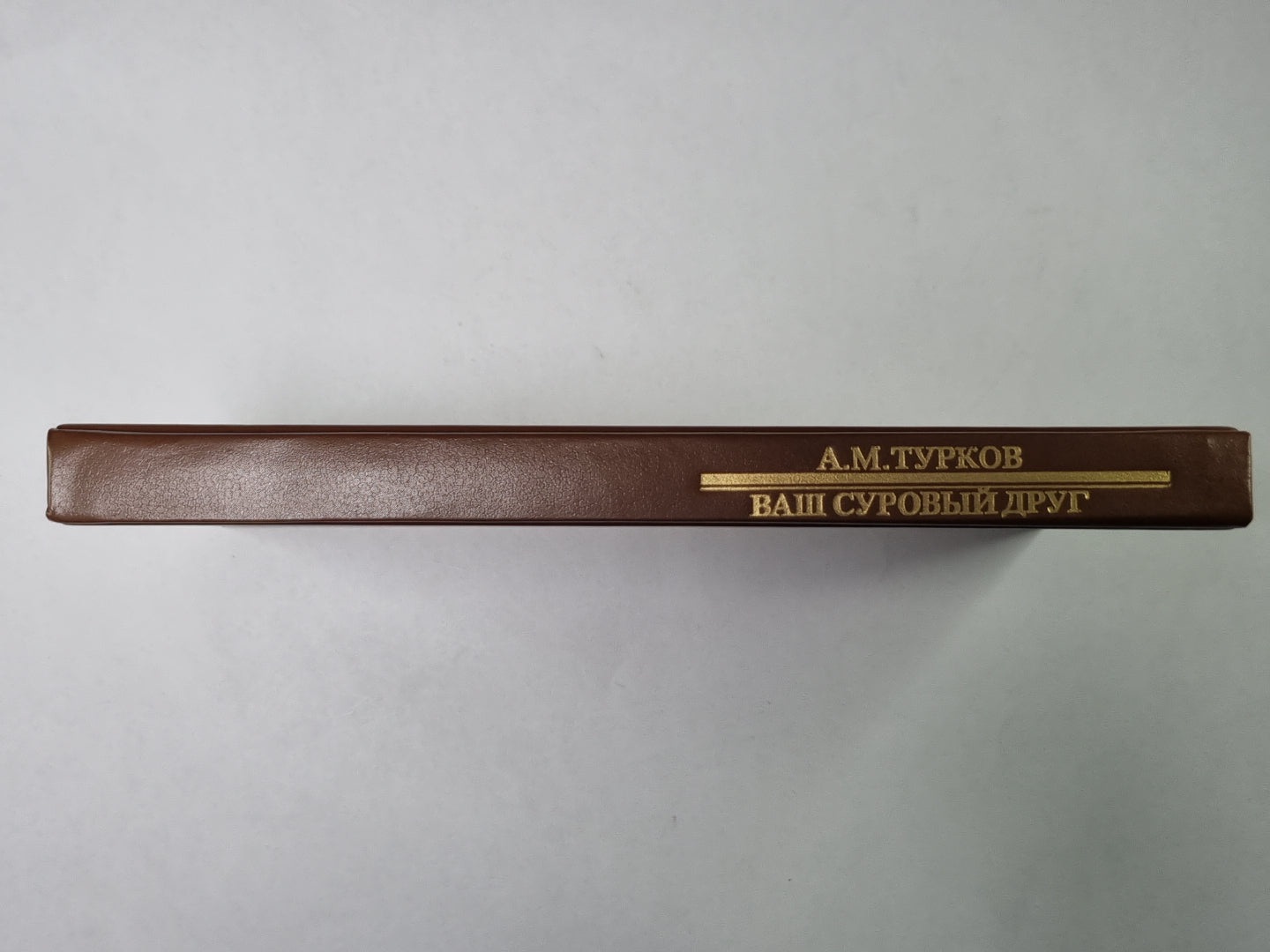 Ваш суровый друг. Сер.(Писатели о писателях)