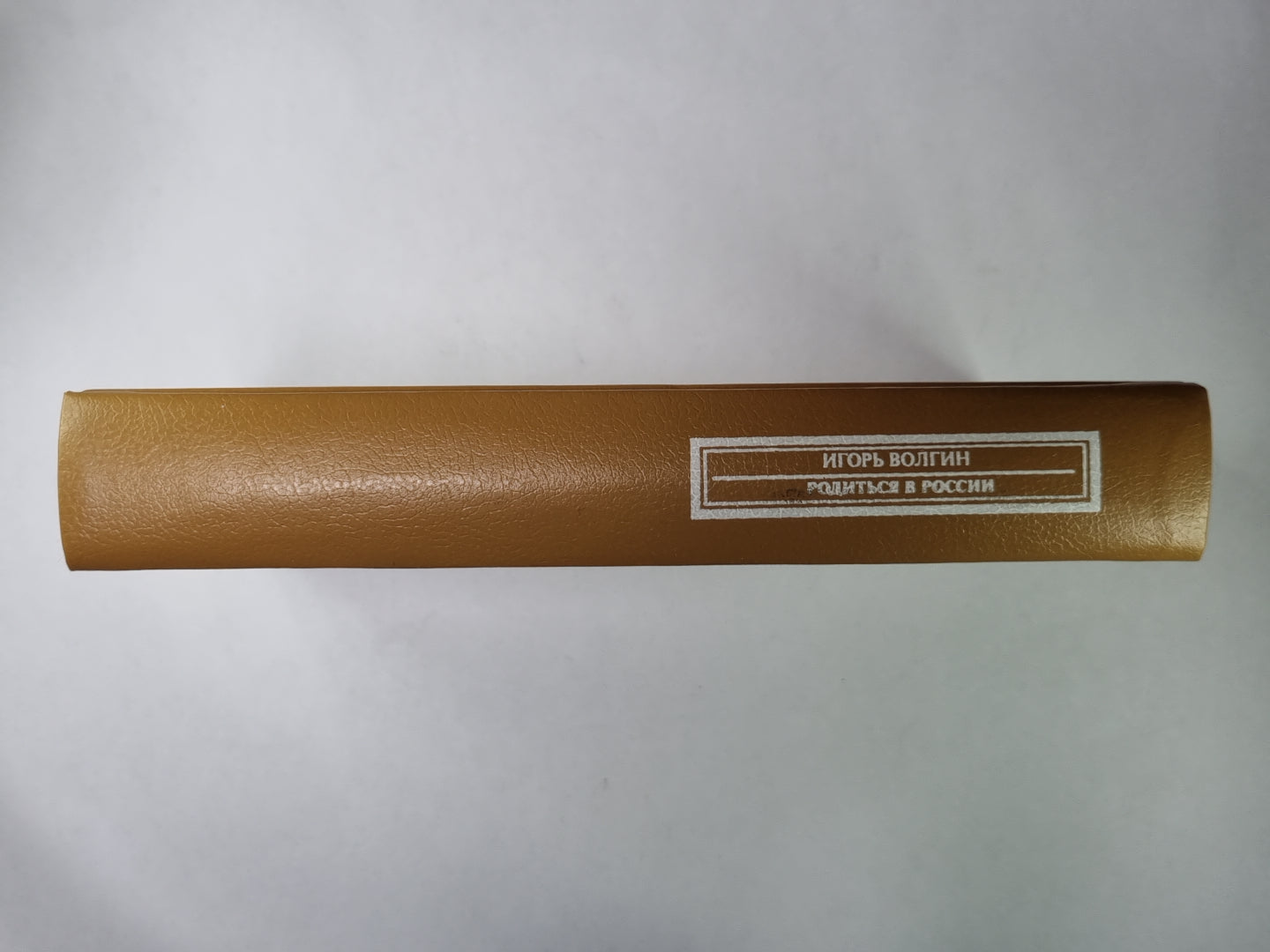 Родиться в России. Сер.(Писатели о писателях)