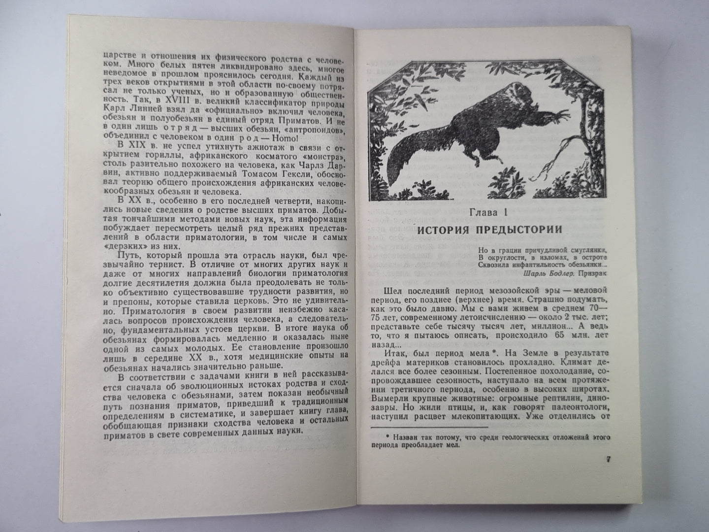 Занимательная приматология. Этюды о природе обезьян