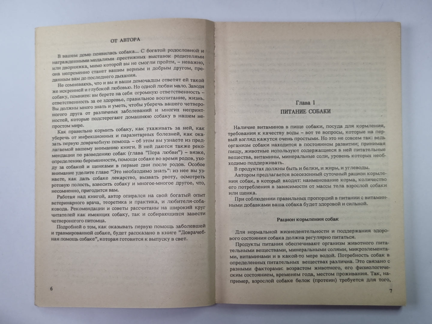 Для любимой собаки