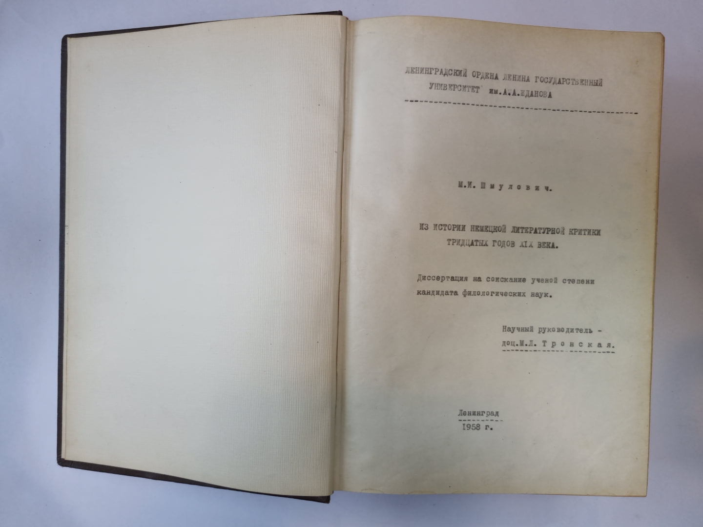 Из истории немецкой литературной критики тридцатых годов XIX века. Диссертация на соискание ученой степени кандидата филологических наук