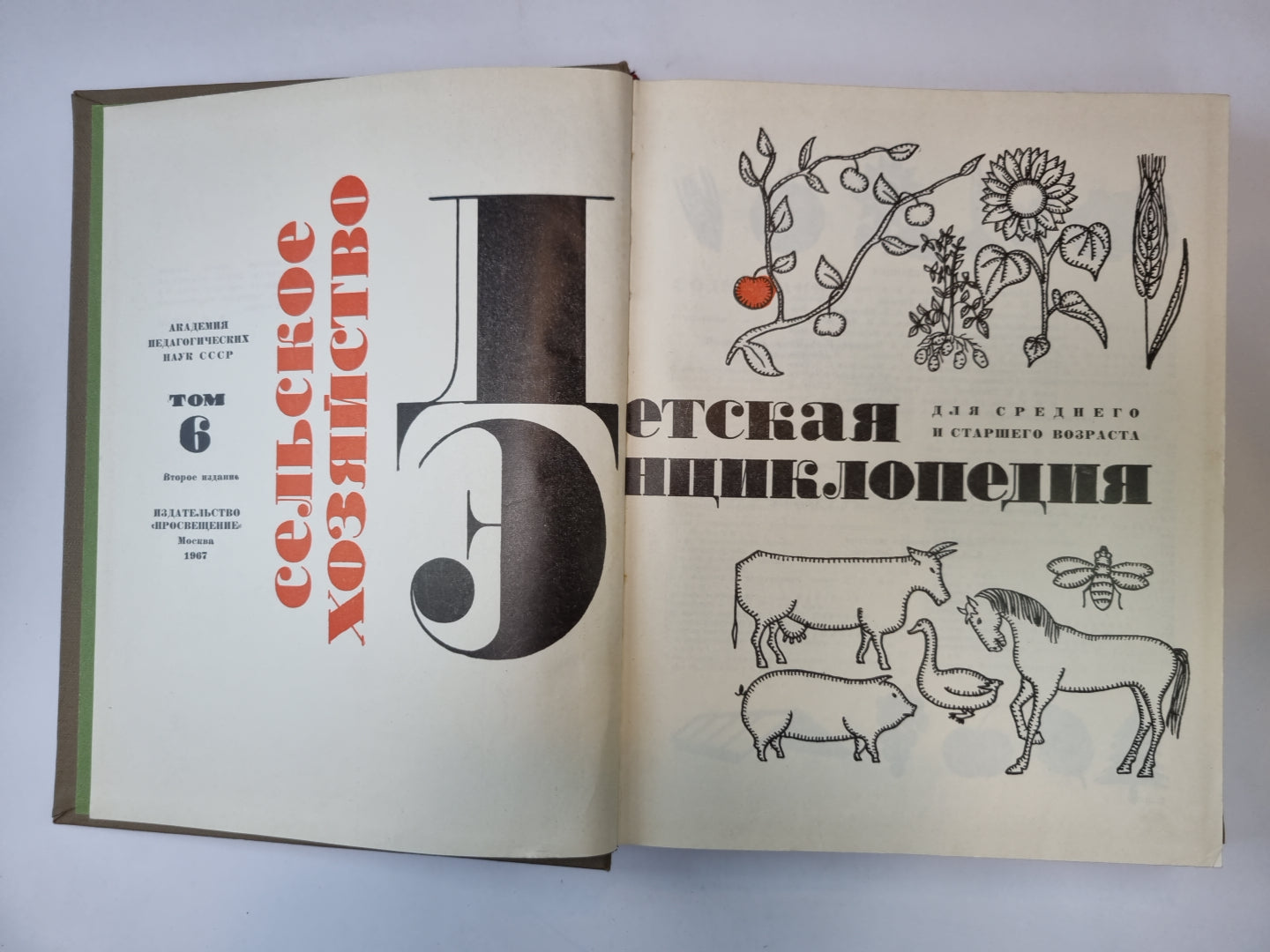 Детская энциклопедия. Том 6