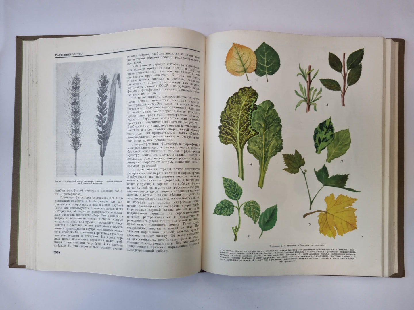 Детская энциклопедия. Том 6