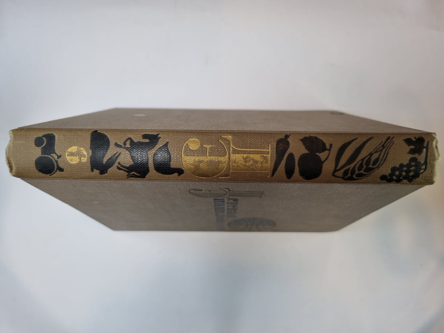 Детская энциклопедия. Том 6