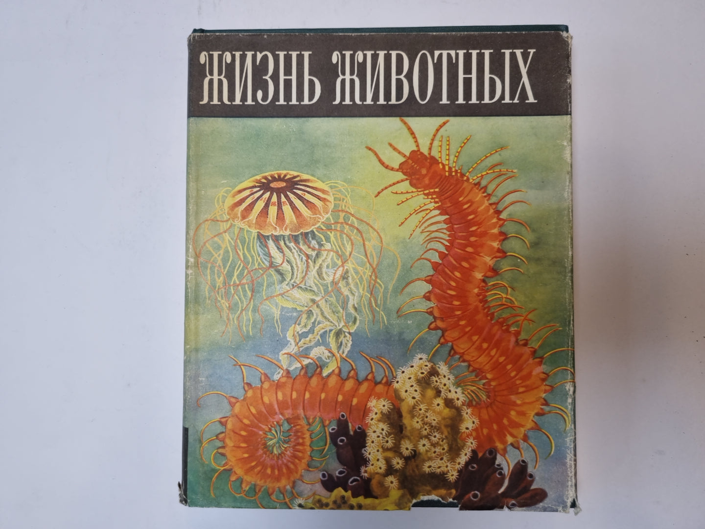 Жизни животных в шести томах. Том 1