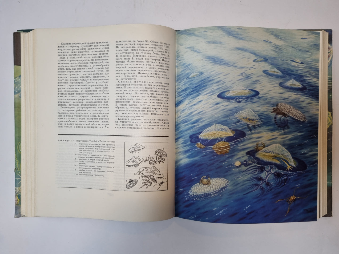 Жизни животных в шести томах. Том 1