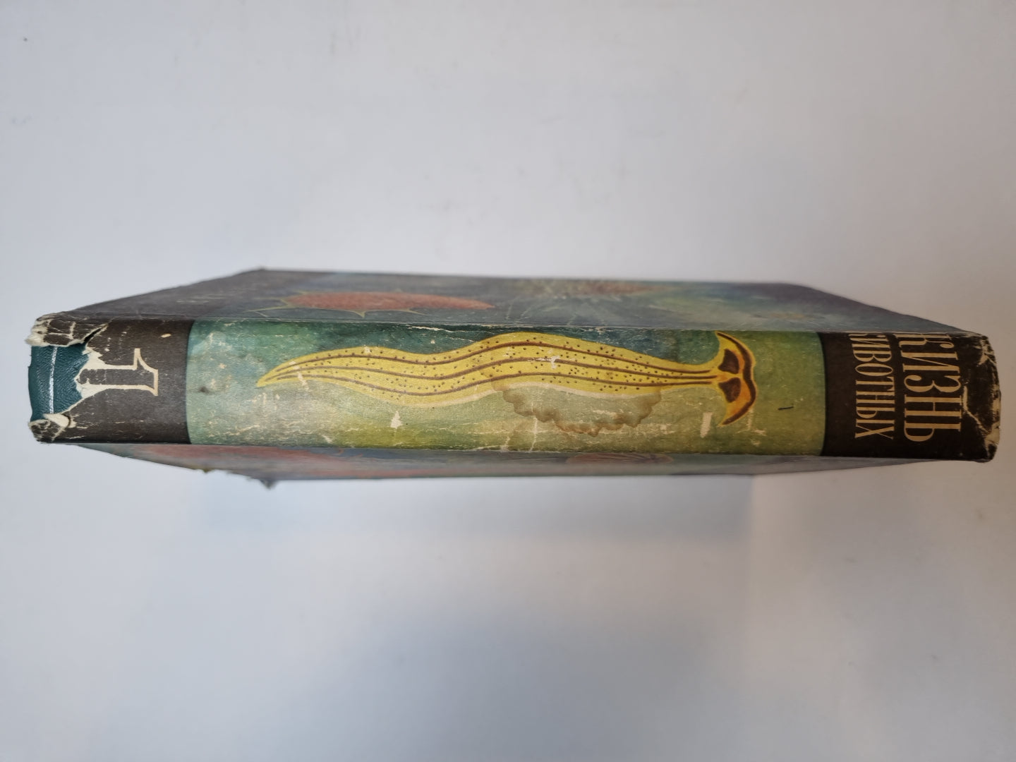 Жизни животных в шести томах. Том 1