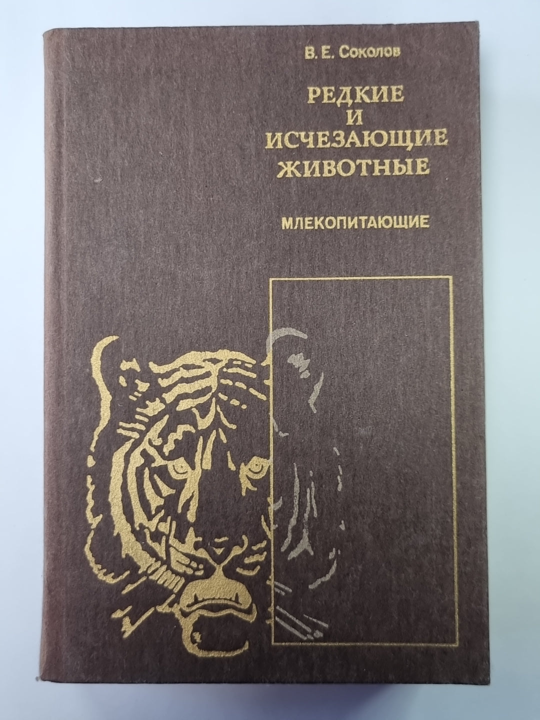Редкие и исчезающие животные. Млекопитающие