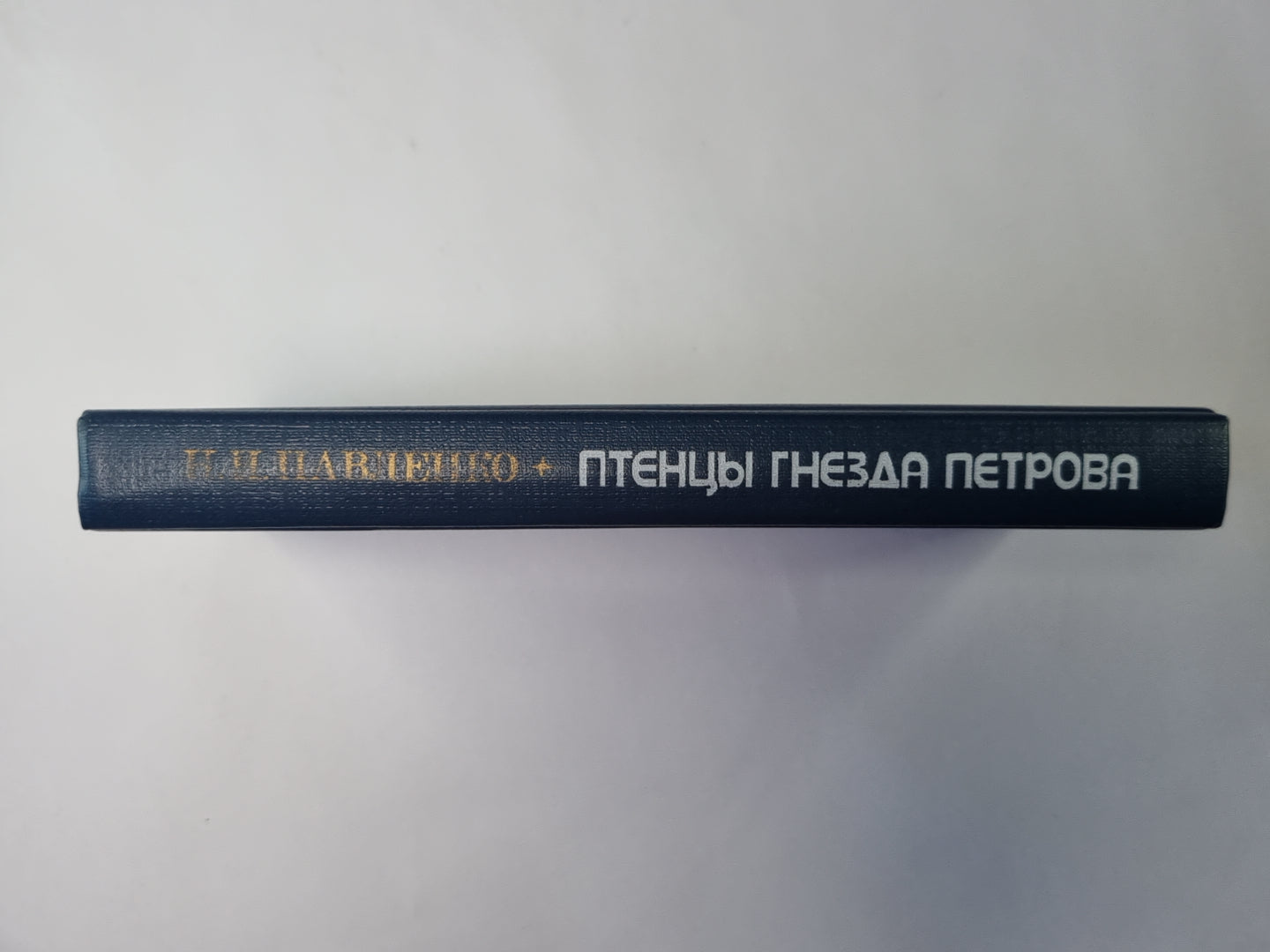 Птенцы гнезда Петрова