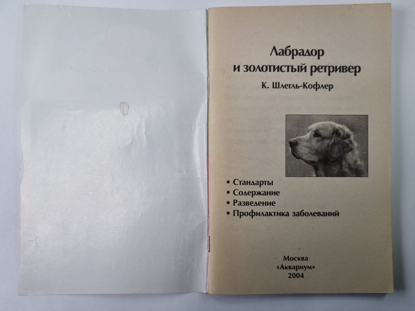 Лабрадор и золотистый ретривер