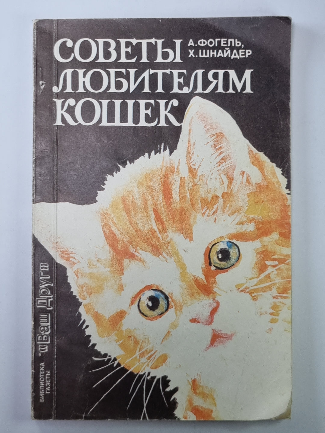 Советы любителям кошек