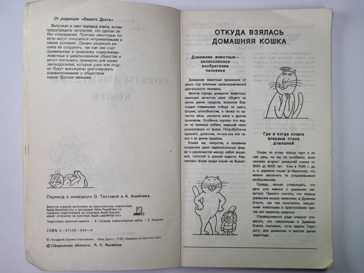 Советы любителям кошек