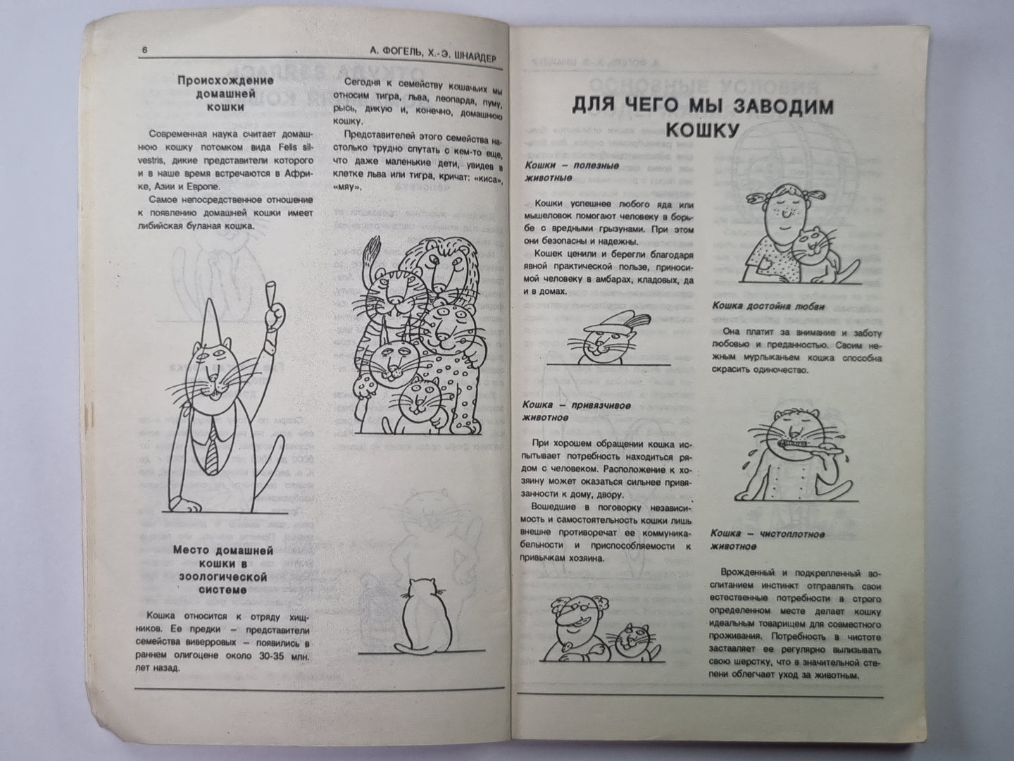 Советы любителям кошек