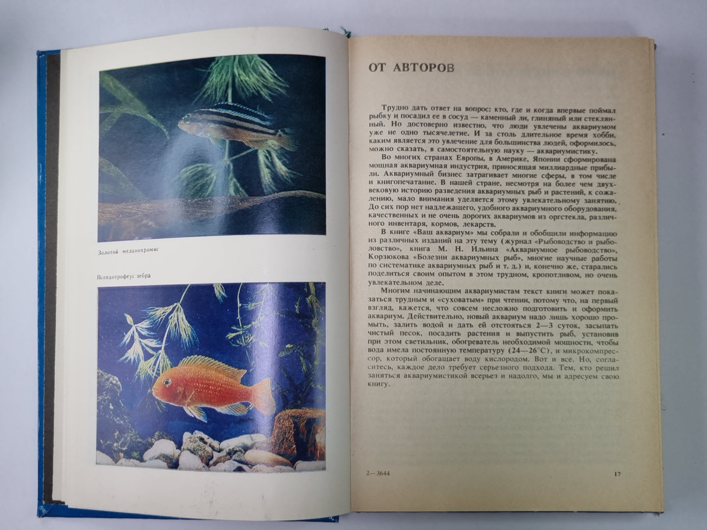 Ваш аквариум