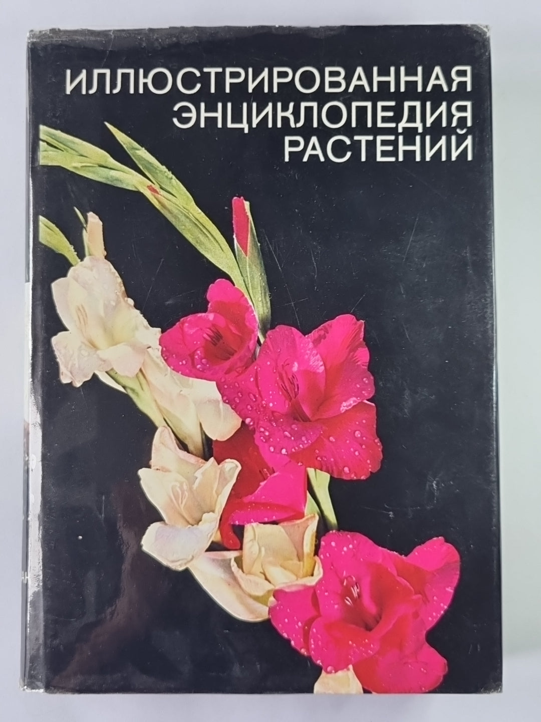 Иллюстрированная энциклопедия растений