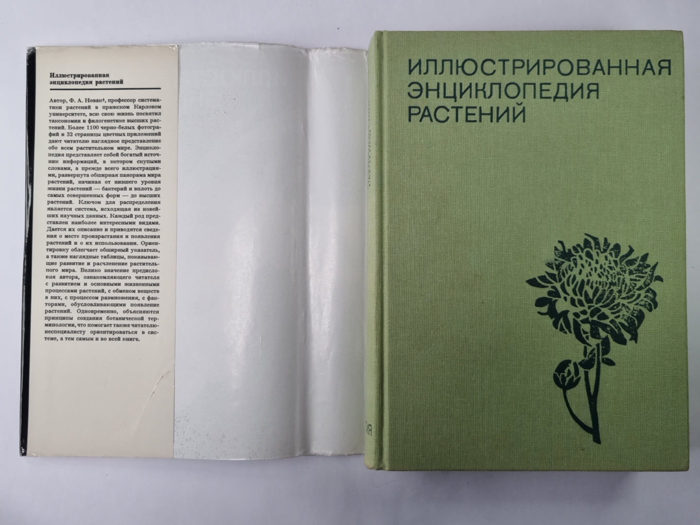 Иллюстрированная энциклопедия растений