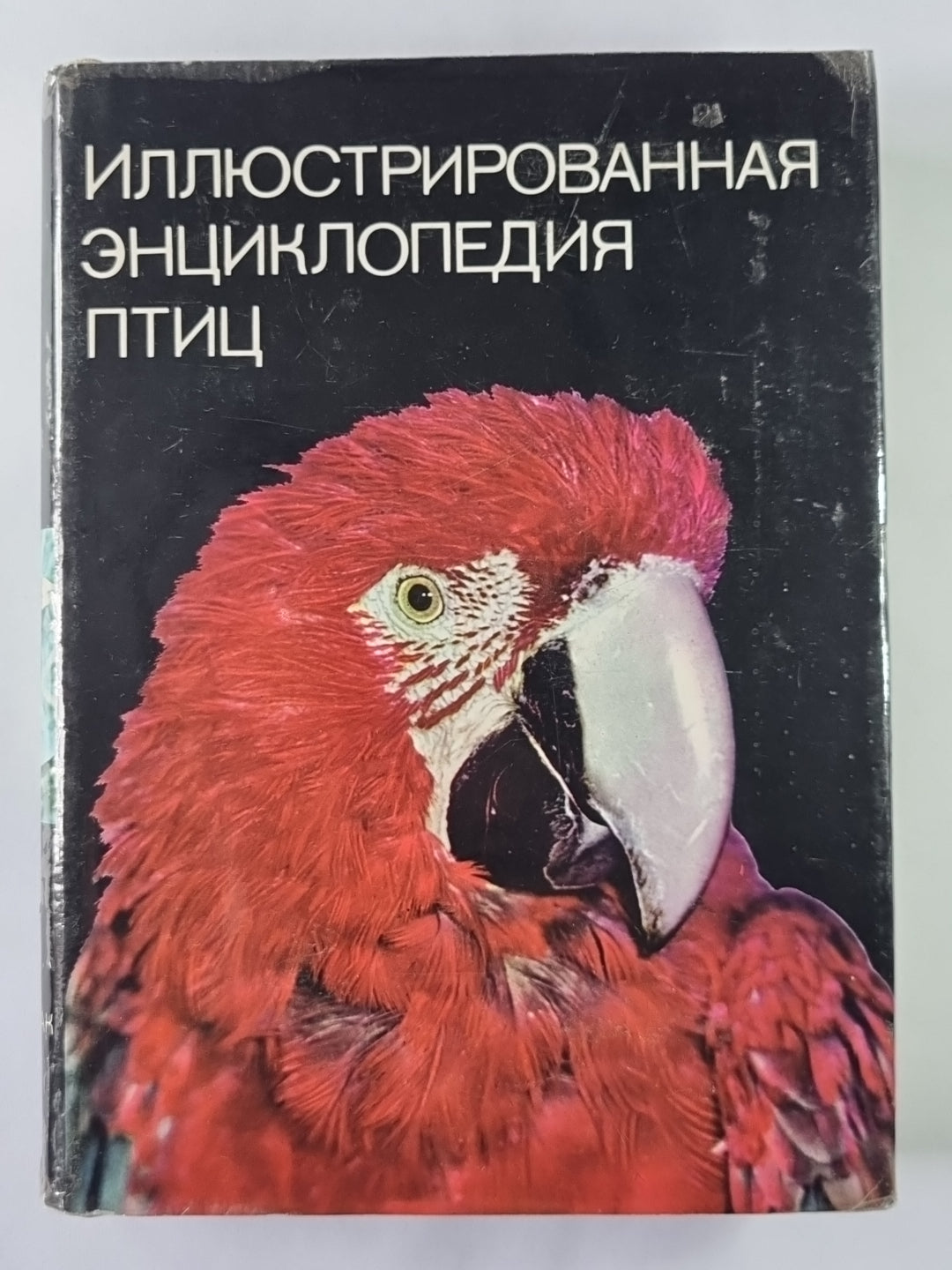 Иллюстрированная энциклопедия птиц