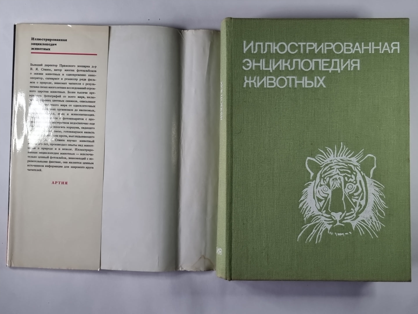 Иллюстрированная энциклопедия животных