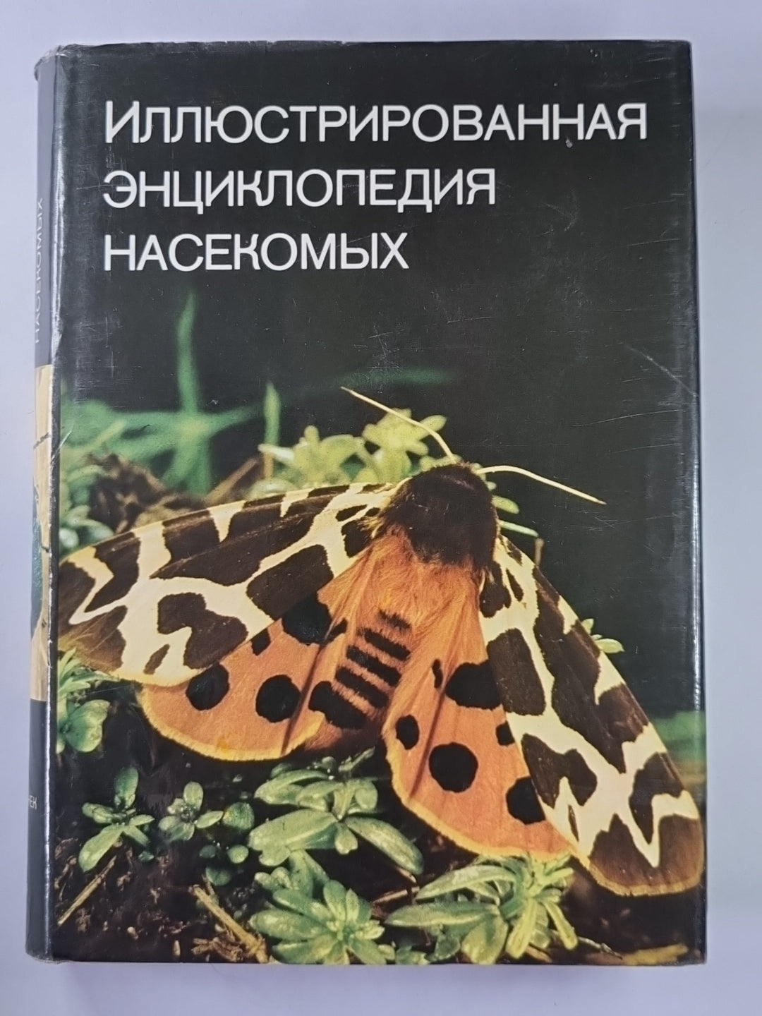 Иллюстрированная энциклопедия насекомых