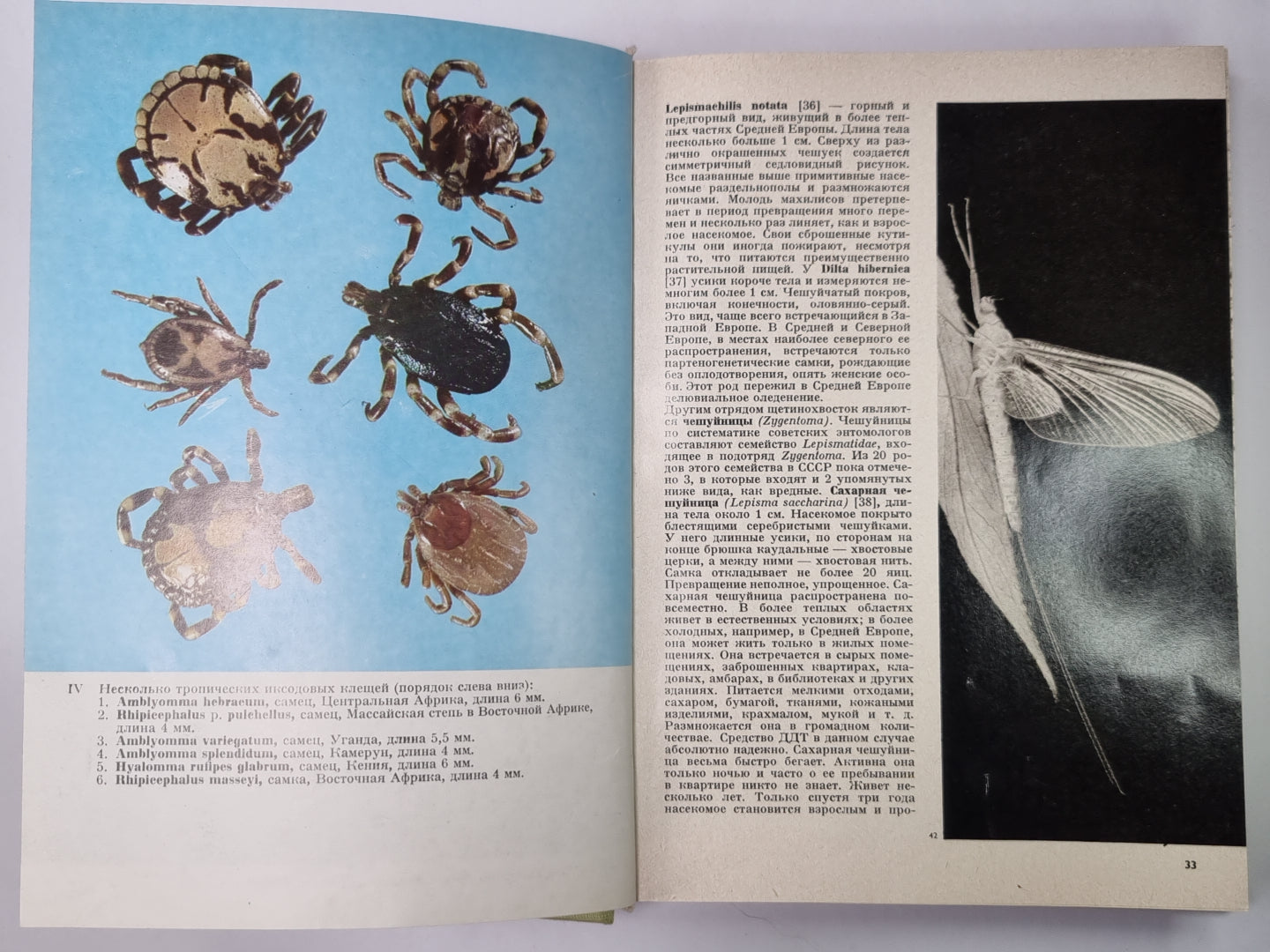 Иллюстрированная энциклопедия насекомых