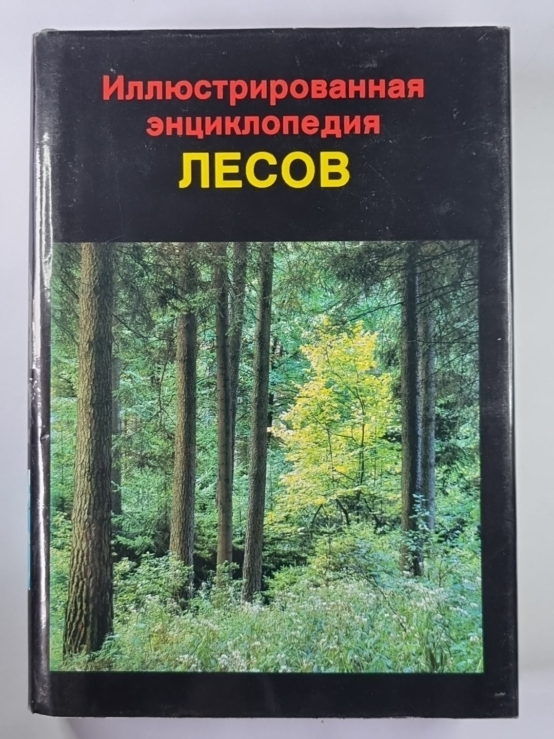 Иллюстрированная энциклопедия лесов
