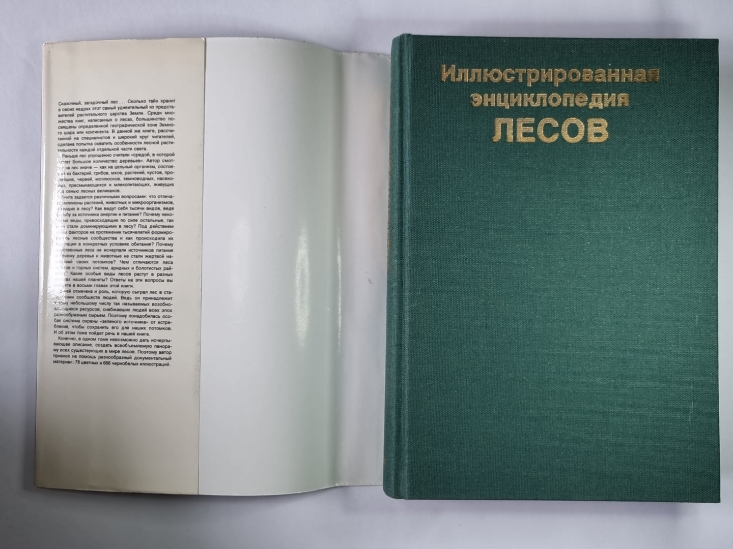 Иллюстрированная энциклопедия лесов