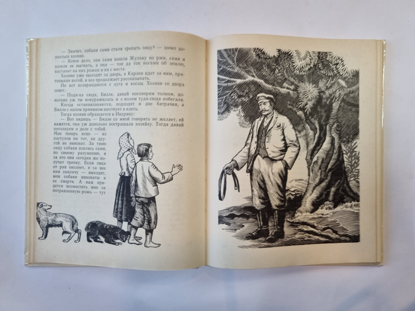 Первое гулянье