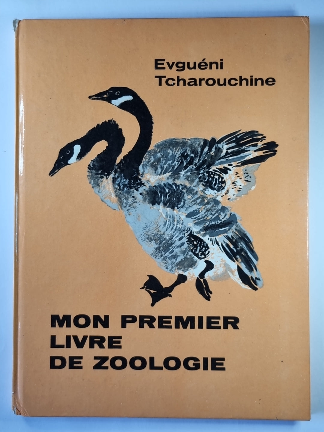 Mon Premier Livre De Zoologie