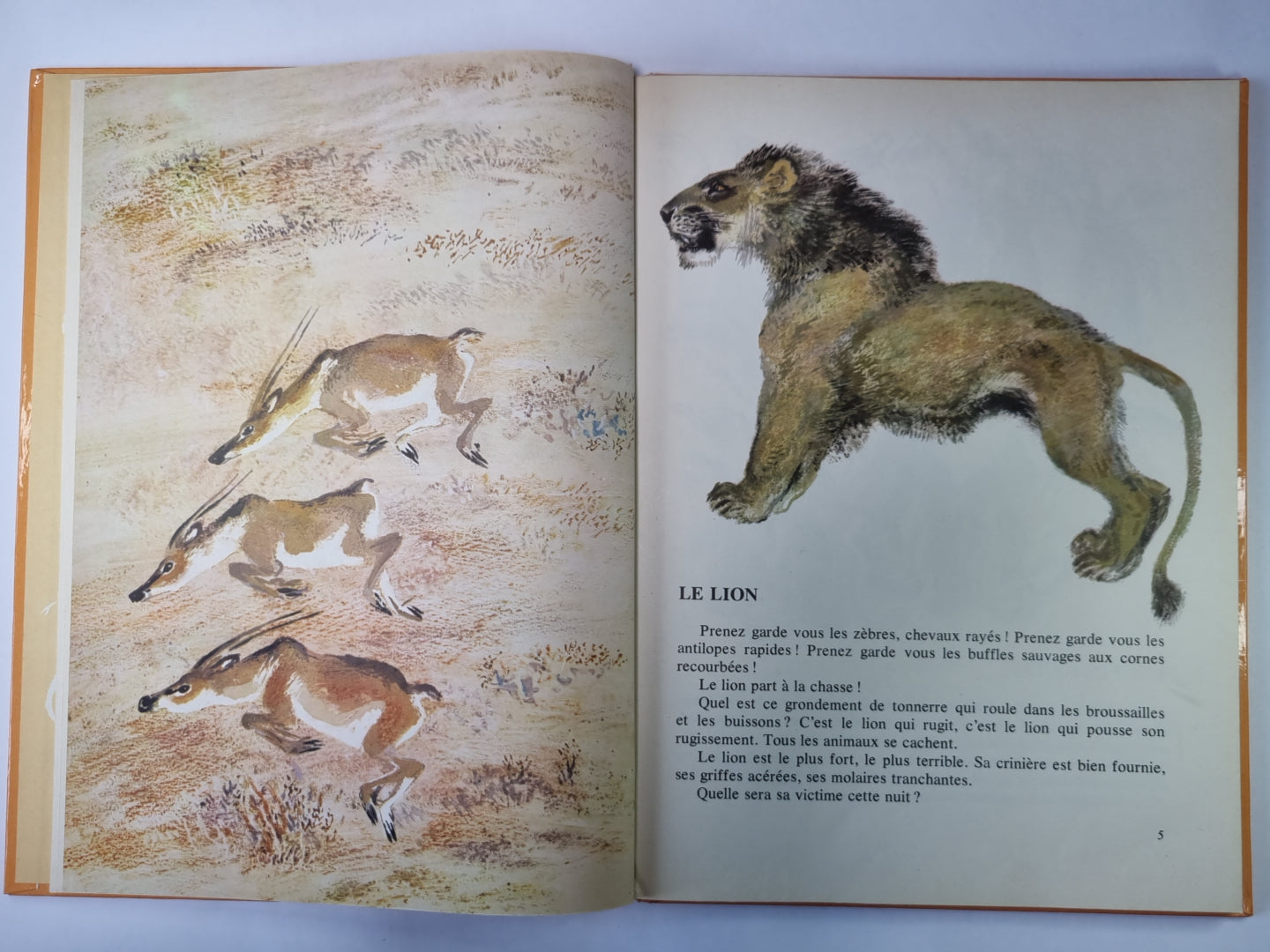 Mon Premier Livre De Zoologie