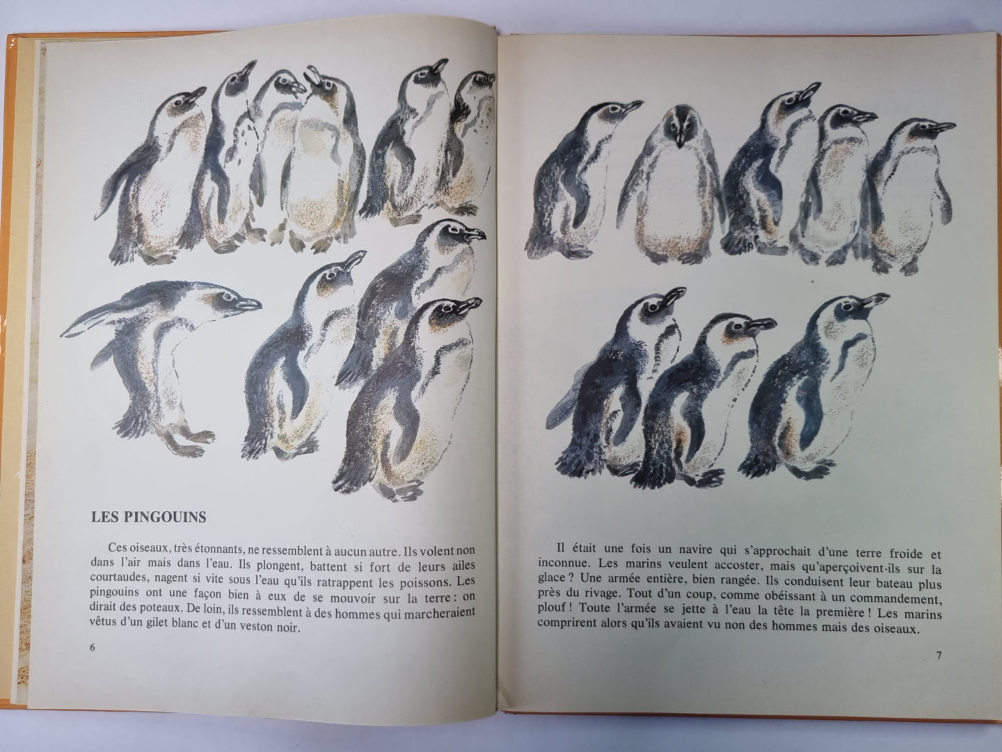 Mon Premier Livre De Zoologie