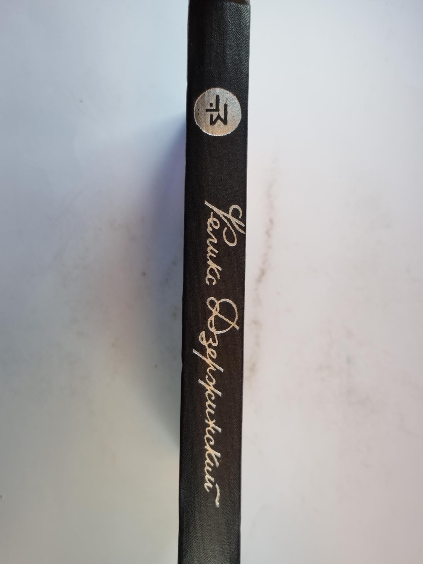 Дневник заключенного. Письма.