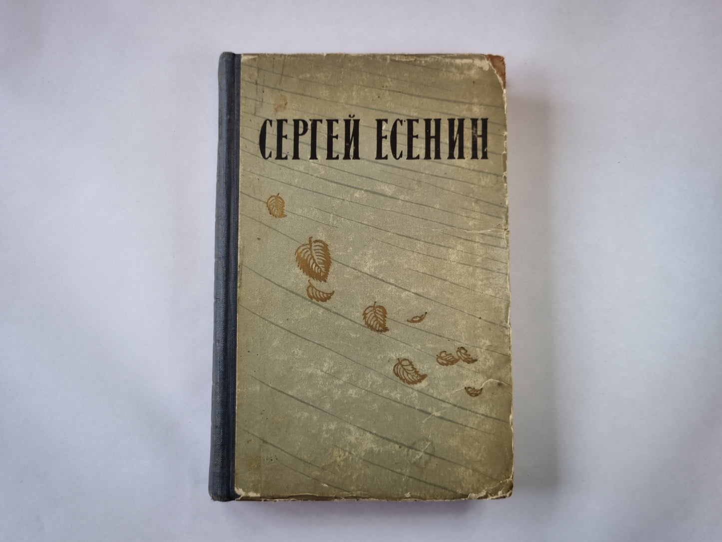 Избранные положения