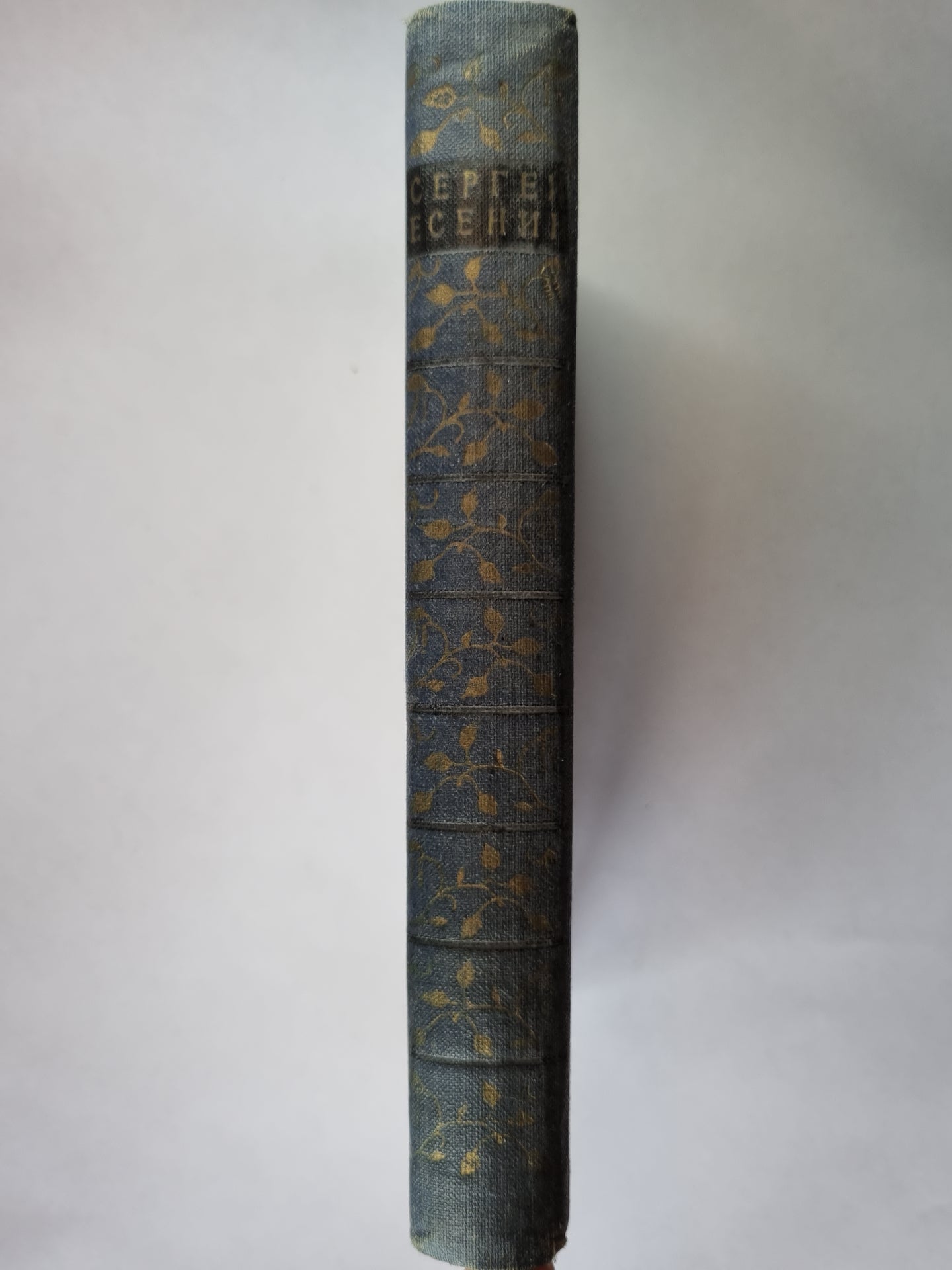 Избранные положения