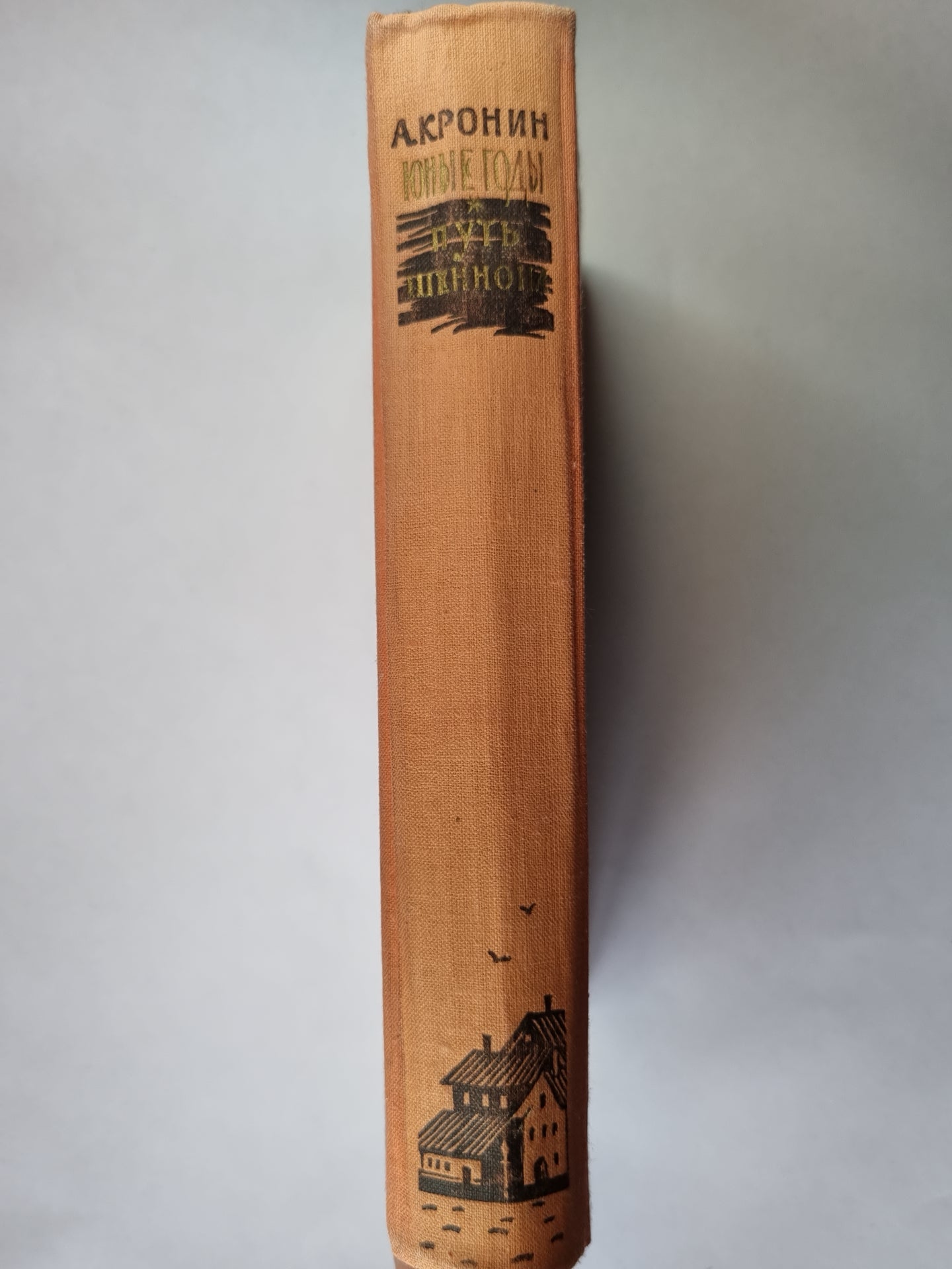 Юные годы. Путь Шеннона