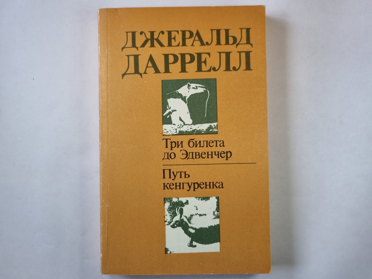 Три билета до Эдвенчер. Путь кенгуренка