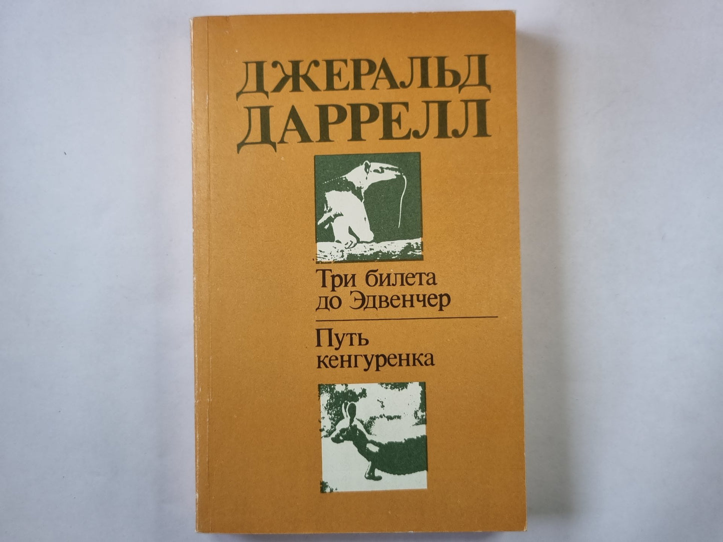 Три билета до Эдвенчер. Путь кенгуренка