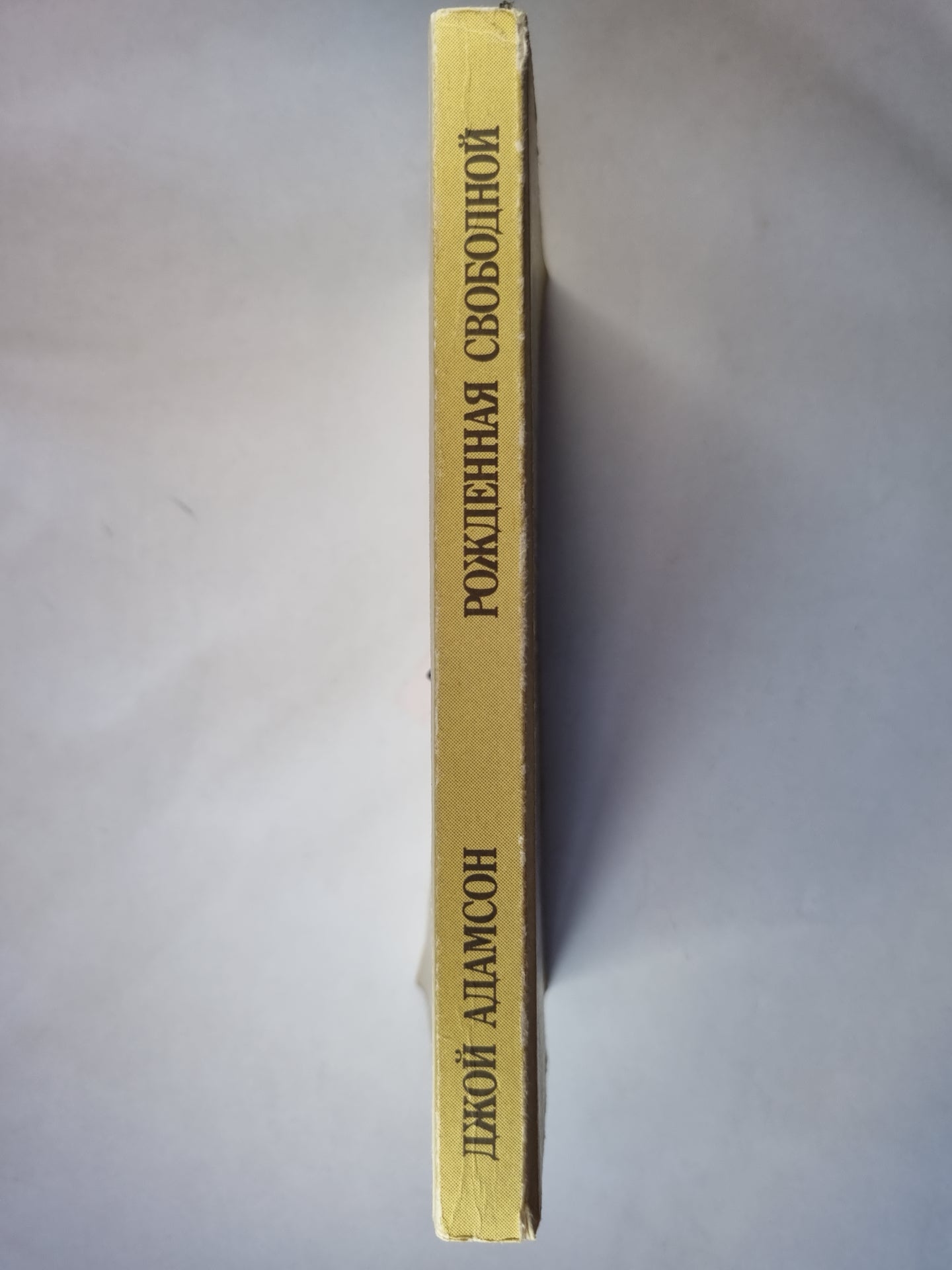 Рожденная свободной