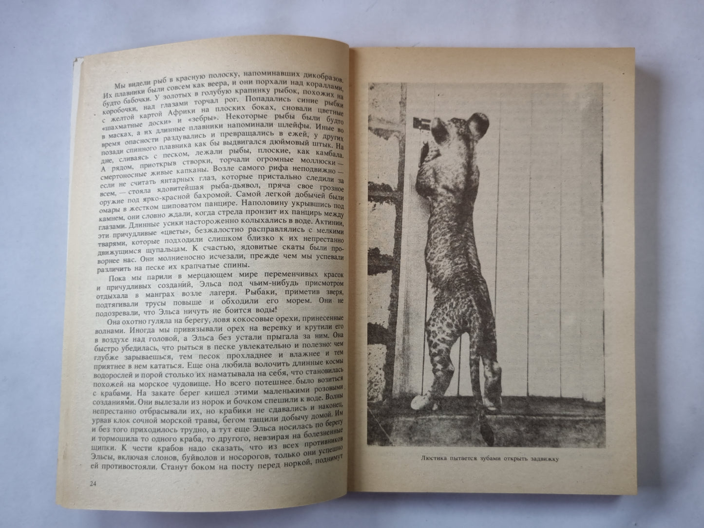 Рожденная свободной