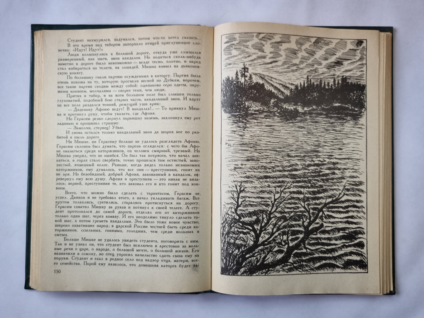 Ветер жизни. Книга первая