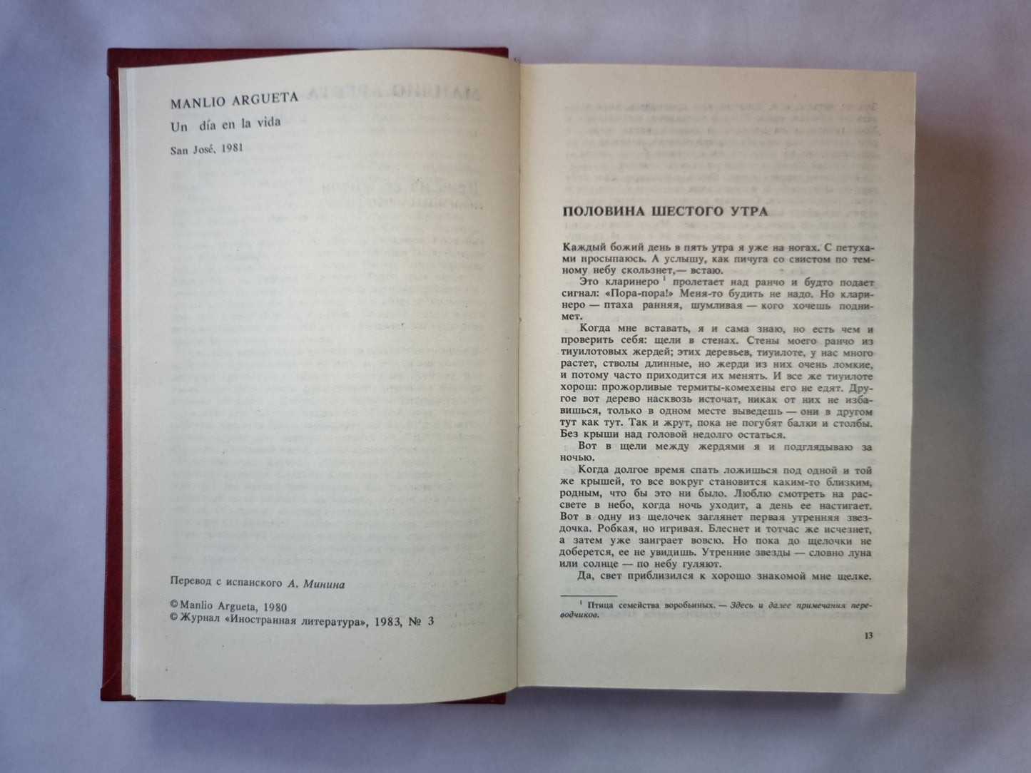 День из ее жизни