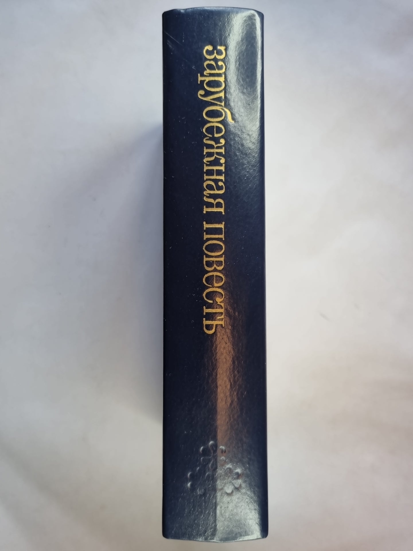 Спящие собаки