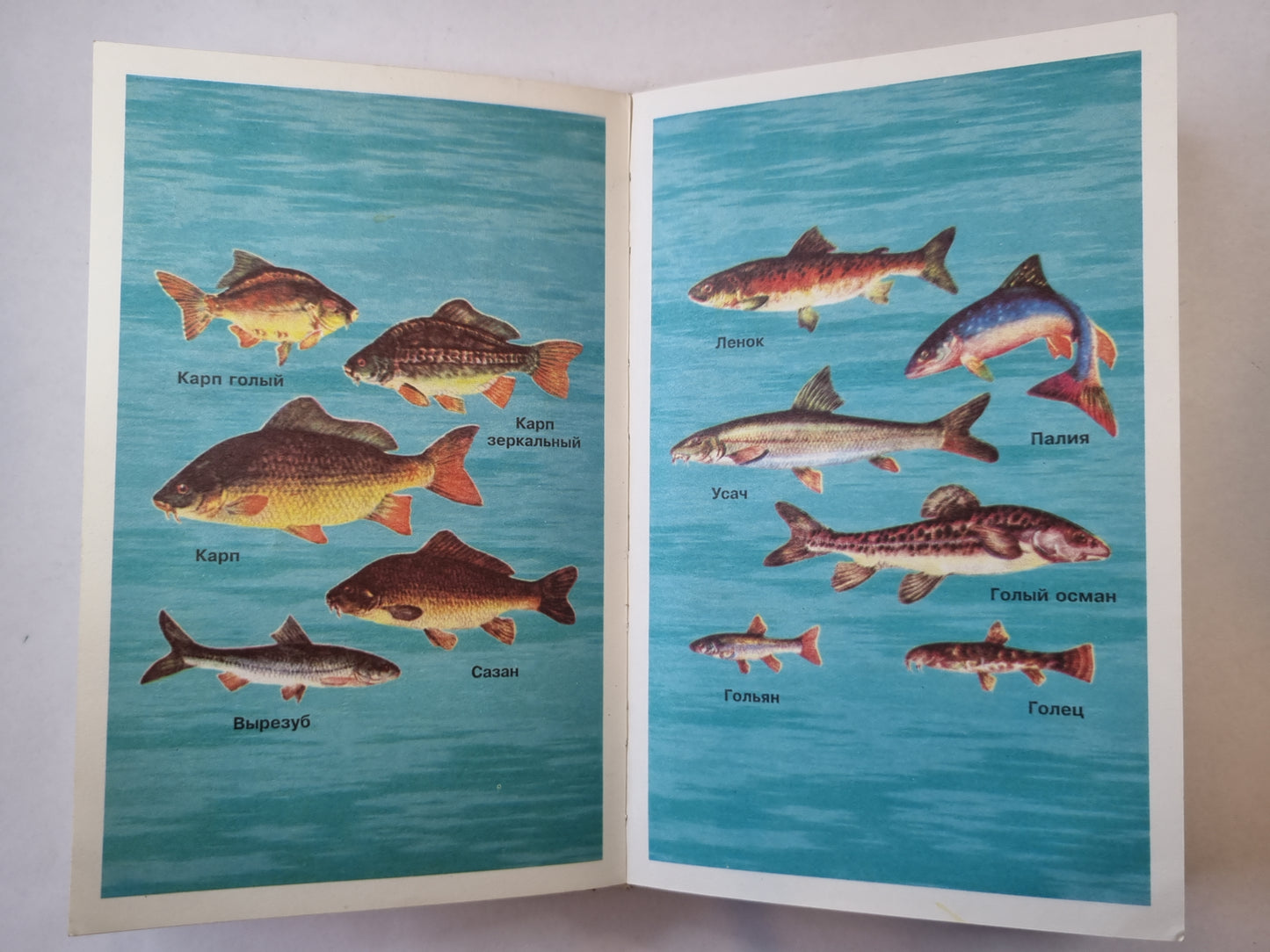 Всё о рыбалке (практическое пособие)