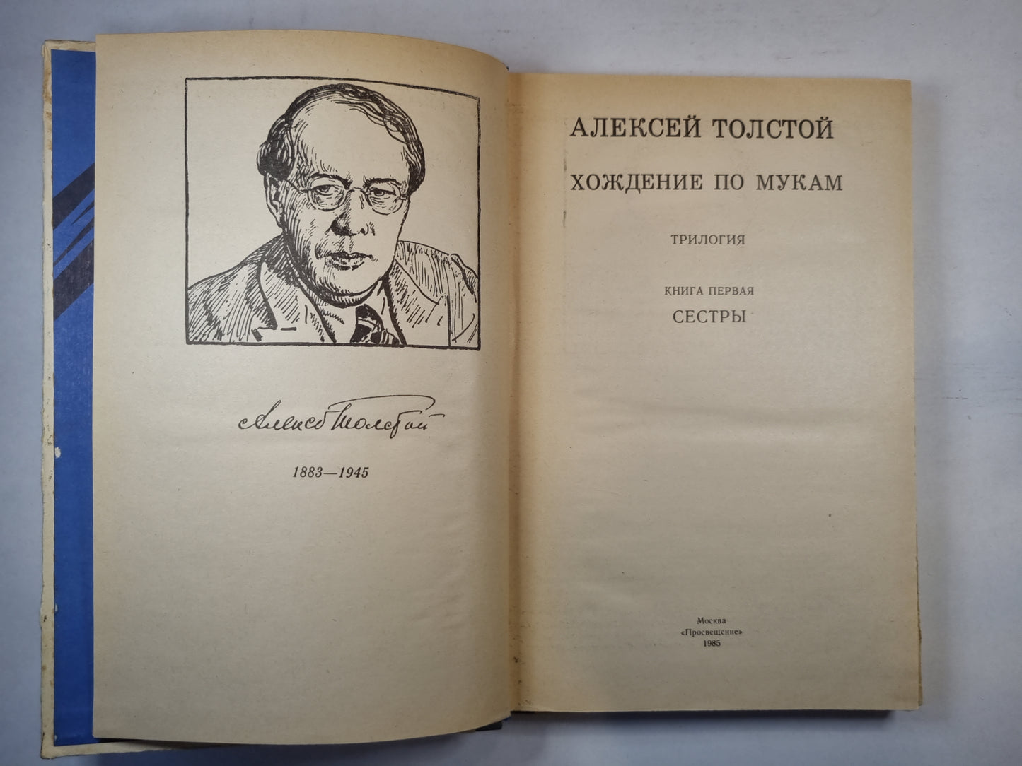 Хождение по мукам. Книга первая